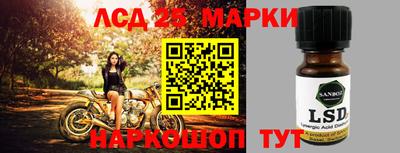 гашик Будённовск