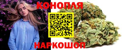 гашик Будённовск