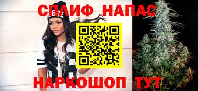 гашик Будённовск