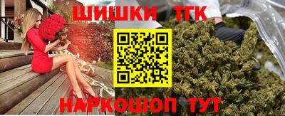 гашик Будённовск
