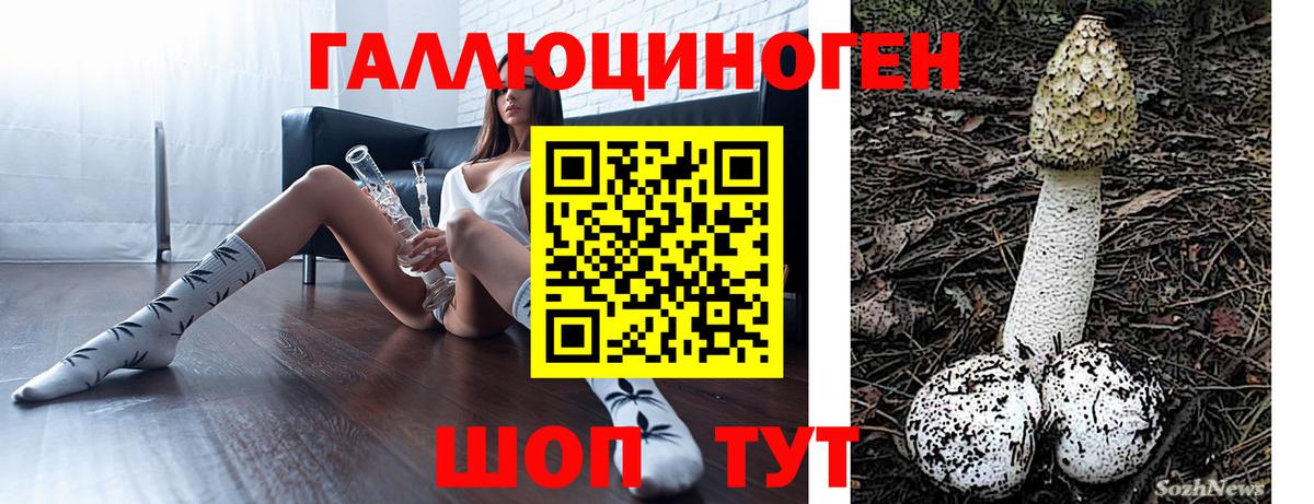 Псилоцибиновые грибы Psilocybine cubensis  Вход с VPN  Коряжма 